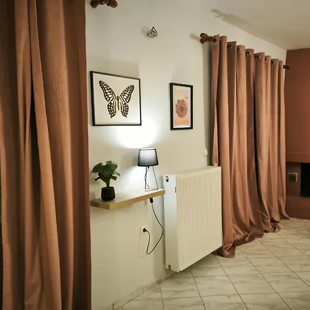 Litohome The Gods Oasis