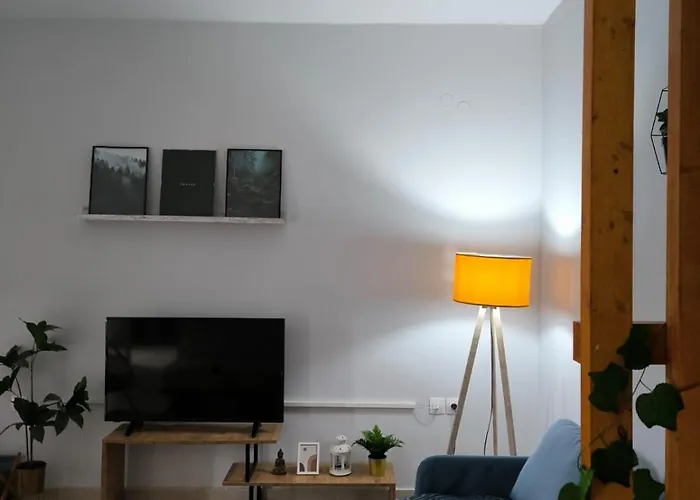 Litohome The Gods Oasis *