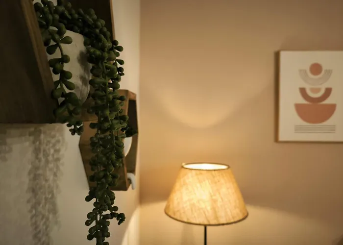 Litohome The Gods Oasis *